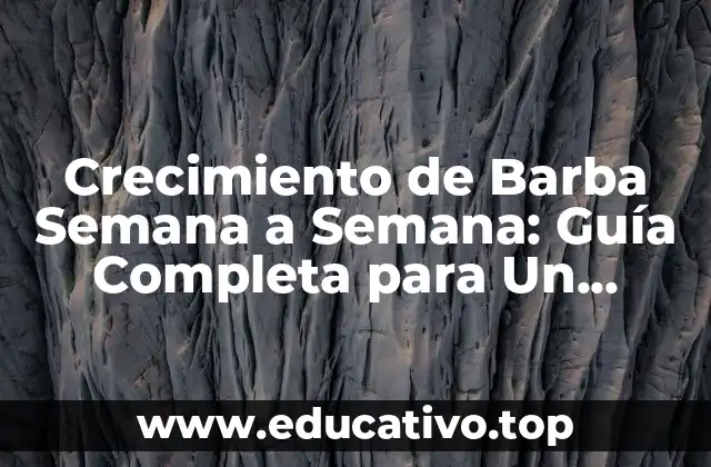 Crecimiento de Barba Semana a Semana: Guía Completa para Un Rostro Bien Cargado