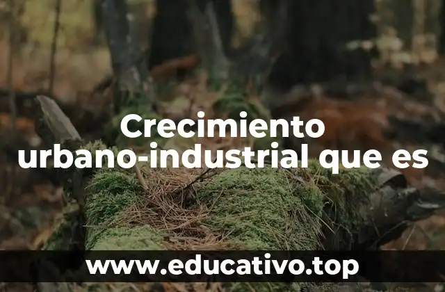 Crecimiento urbano-industrial que es