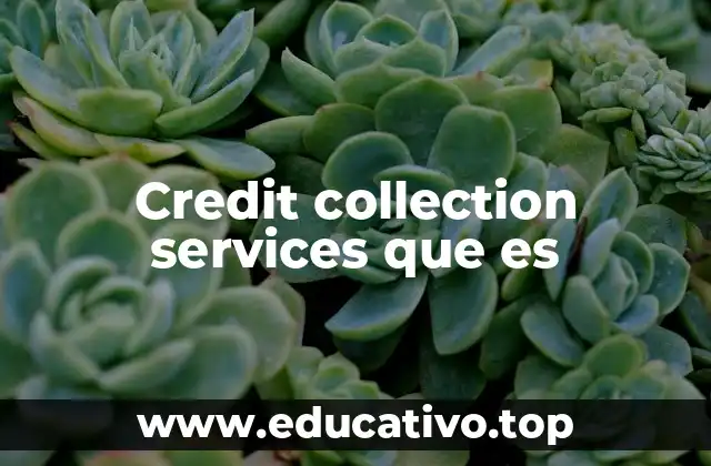 Credit collection services que es