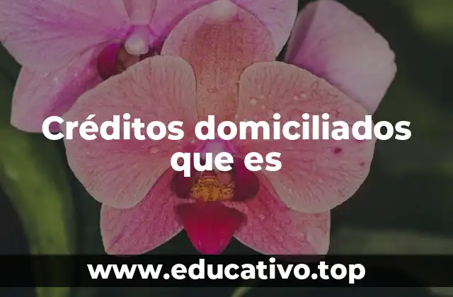 Créditos domiciliados que es