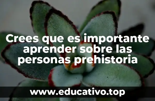 Crees que es importante aprender sobre las personas prehistoria