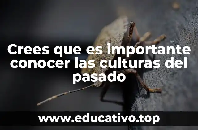 Crees que es importante conocer las culturas del pasado
