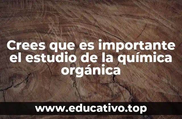 Crees que es importante el estudio de la química orgánica