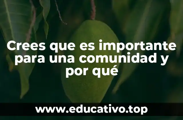Crees que es importante para una comunidad y por qué