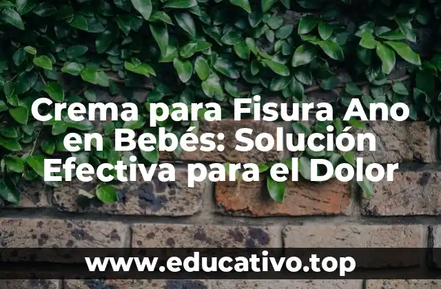 Crema para Fisura Ano en Bebés: Solución Efectiva para el Dolor