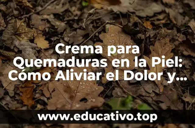 Crema para Quemaduras en la Piel: Cómo Aliviar el Dolor y Acelerar la Curación