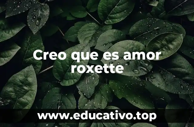 Creo que es amor roxette
