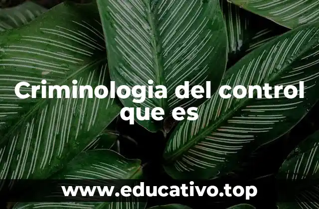 Criminologia del control que es