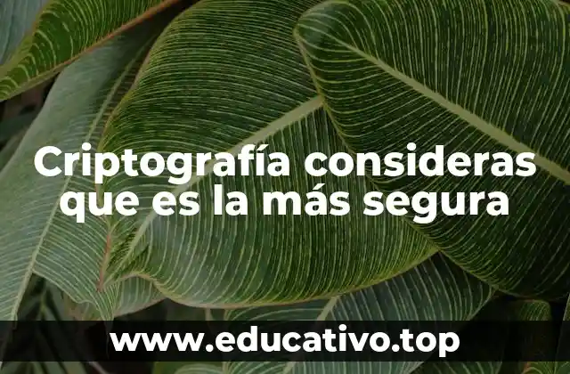 Criptografía consideras que es la más segura