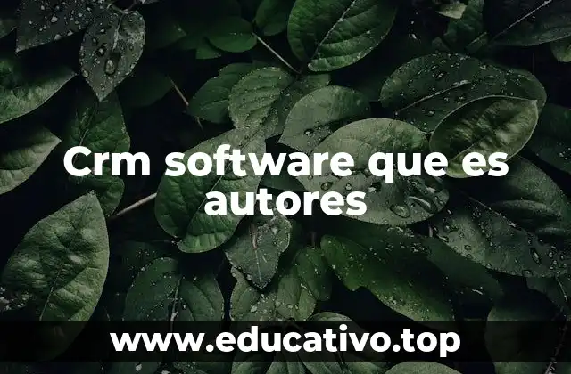 Crm software que es autores