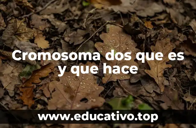 Cromosoma dos que es y que hace