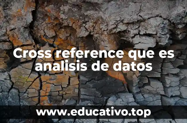 Cross reference que es analisis de datos