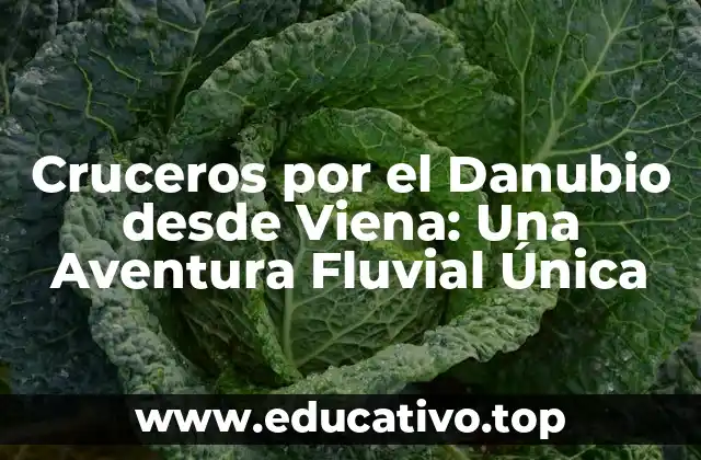Cruceros por el Danubio desde Viena: Una Aventura Fluvial Única