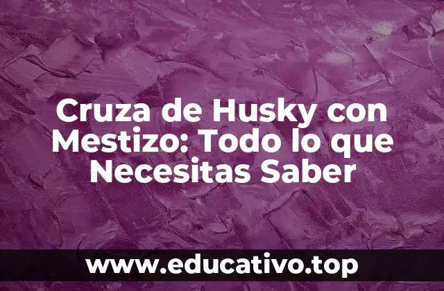 Cruza de Husky con Mestizo: Todo lo que Necesitas Saber