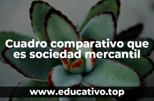 Cuadro comparativo que es sociedad mercantil