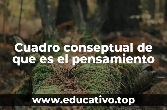 Cuadro conseptual de que es el pensamiento