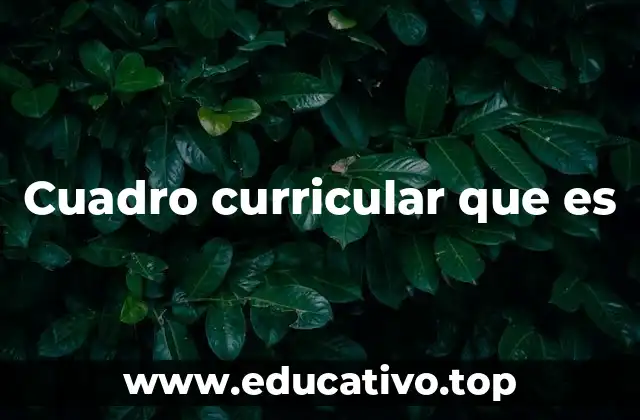 Cuadro curricular que es