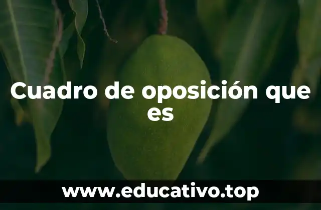 Cuadro de oposición que es