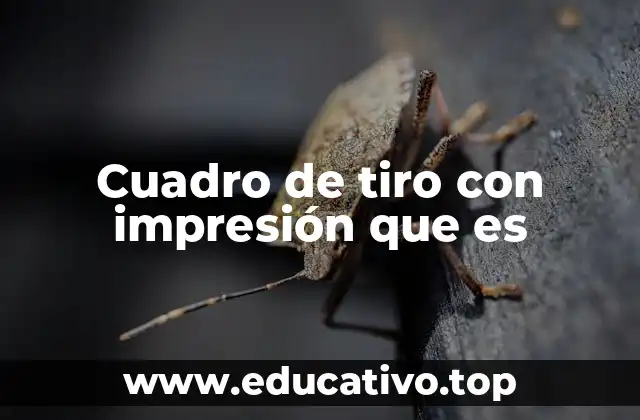 Cuadro de tiro con impresión que es