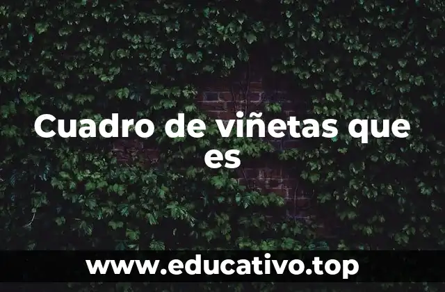 Cuadro de viñetas que es