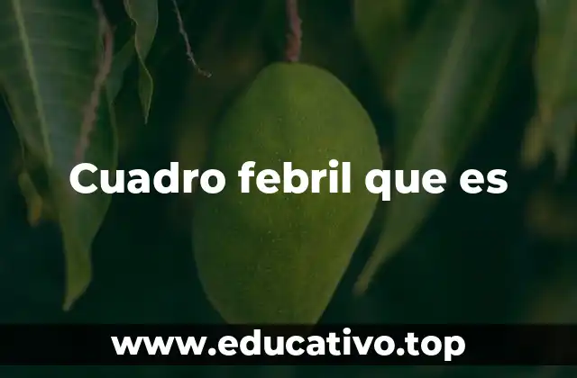 Cuadro febril que es