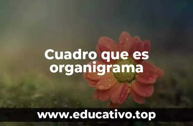 Cuadro que es organigrama