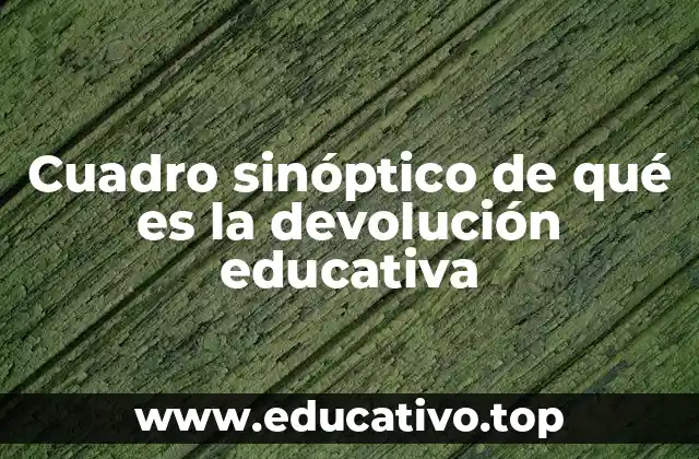 Cuadro sinóptico de qué es la devolución educativa