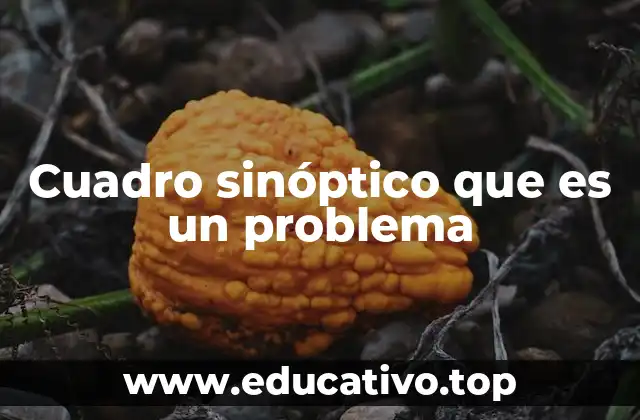 Cuadro sinóptico que es un problema