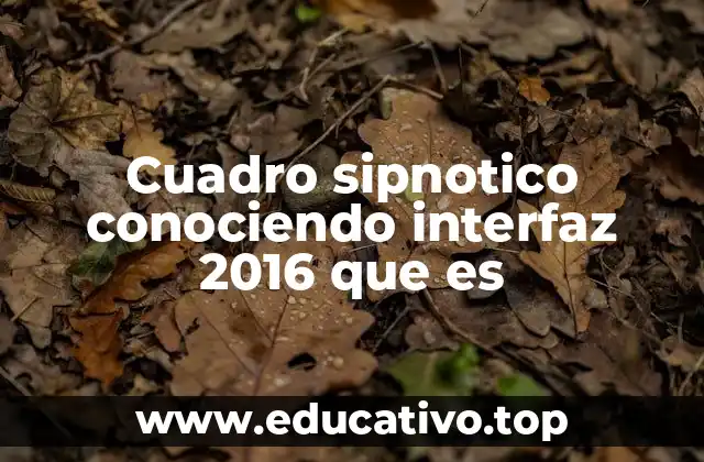 Cuadro sipnotico conociendo interfaz 2016 que es