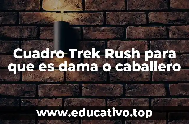 Cuadro Trek Rush para que es dama o caballero