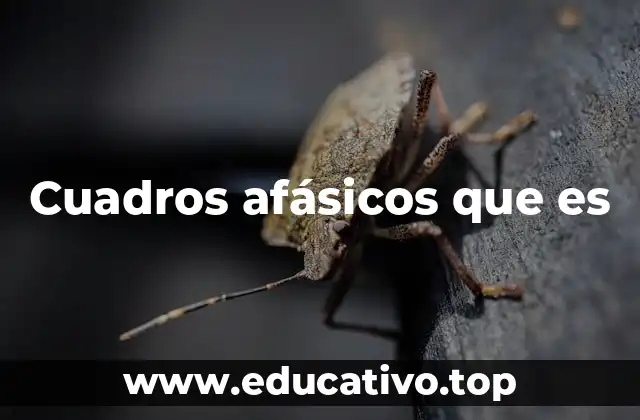 Cuadros afásicos que es