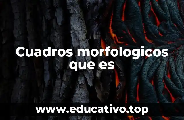 Cuadros morfologicos que es