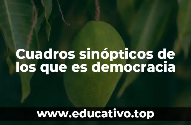 Cuadros sinópticos de los que es democracia