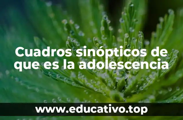 Cuadros sinópticos de que es la adolescencia