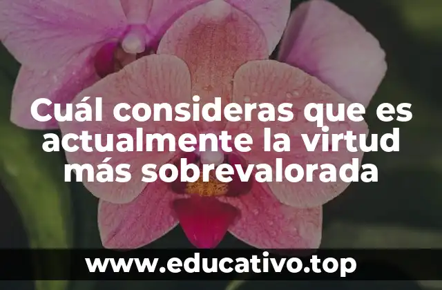 Cuál consideras que es actualmente la virtud más sobrevalorada