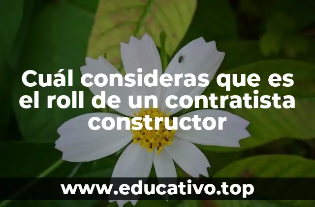 Cuál consideras que es el roll de un contratista constructor