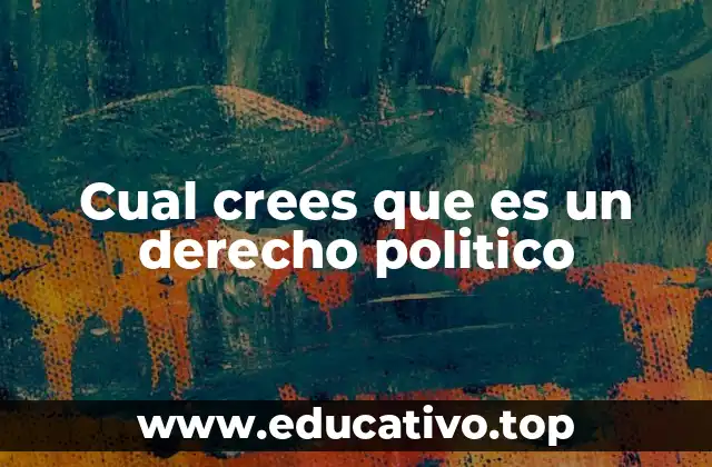 Cual crees que es un derecho politico