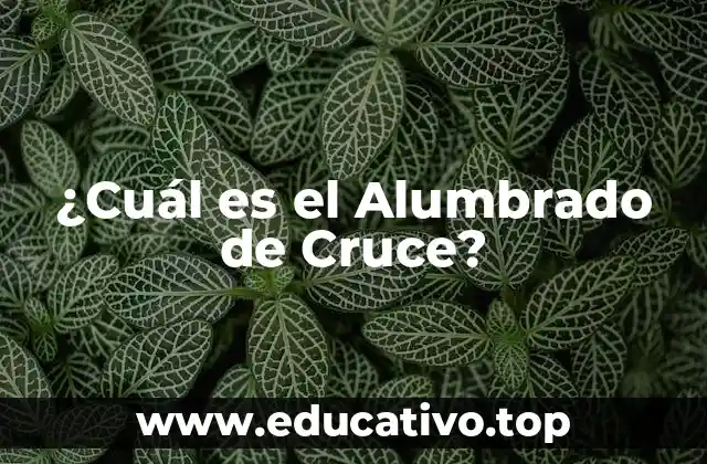 ¿Cuál es el Alumbrado de Cruce?