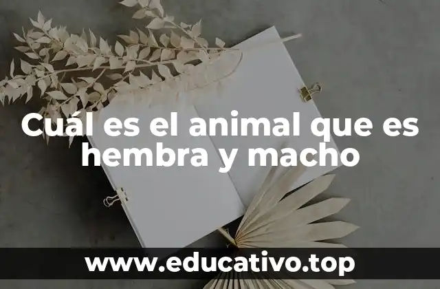 Cuál es el animal que es hembra y macho