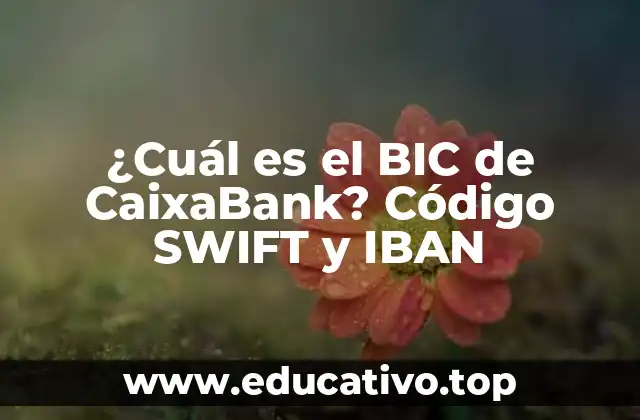 ¿Cuál es el BIC de CaixaBank? Código SWIFT y IBAN