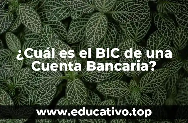 ¿Cuál es el BIC de una Cuenta Bancaria?