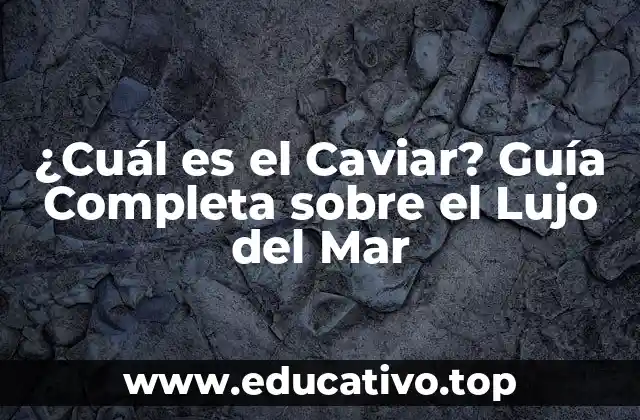 ¿Cuál es el Caviar? Guía Completa sobre el Lujo del Mar