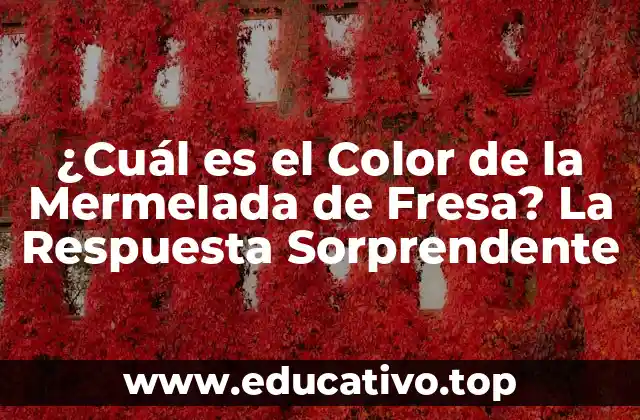 ¿Cuál es el Color de la Mermelada de Fresa? La Respuesta Sorprendente