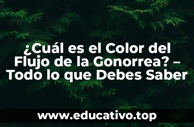 ¿Cuál es el Color del Flujo de la Gonorrea? – Todo lo que Debes Saber