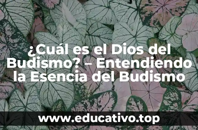 ¿Cuál es el Dios del Budismo? – Entendiendo la Esencia del Budismo