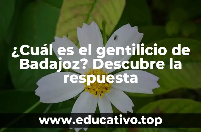 ¿Cuál es el gentilicio de Badajoz? Descubre la respuesta