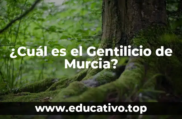 ¿Cuál es el Gentilicio de Murcia?