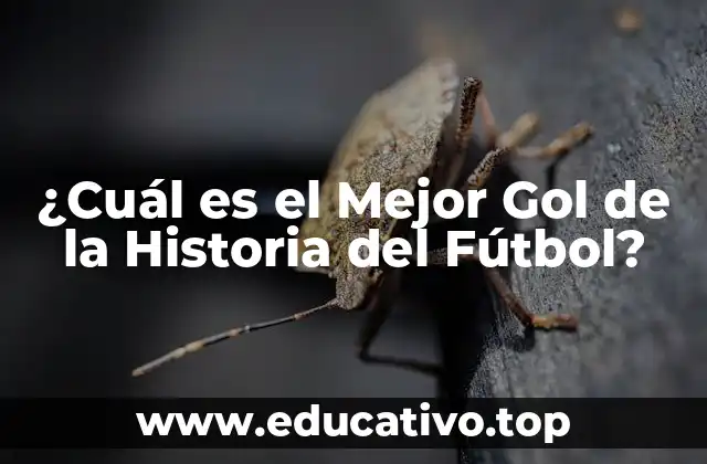 ¿Cuál es el Mejor Gol de la Historia del Fútbol?