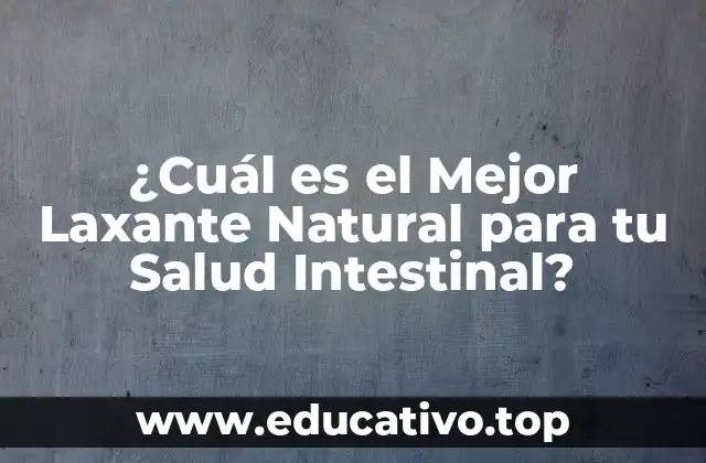 ¿Cuál es el Mejor Laxante Natural para tu Salud Intestinal?