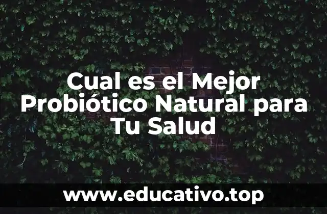 Cual es el Mejor Probiótico Natural para Tu Salud